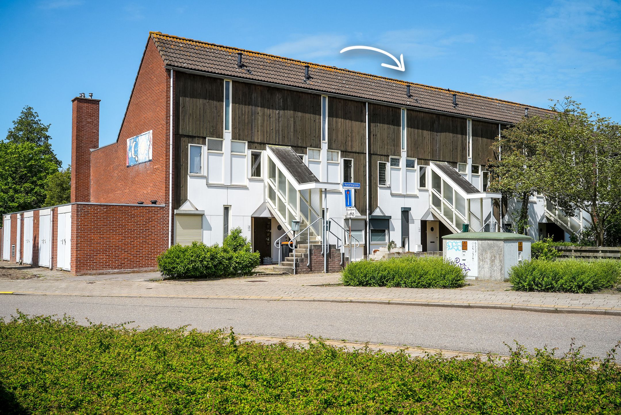 Kanariesprenk 11 