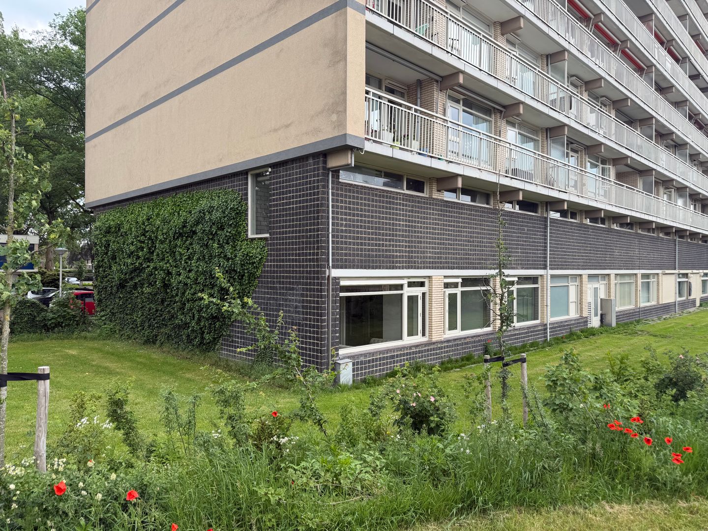 Bekijk foto 3 van Westelijk Halfrond 429