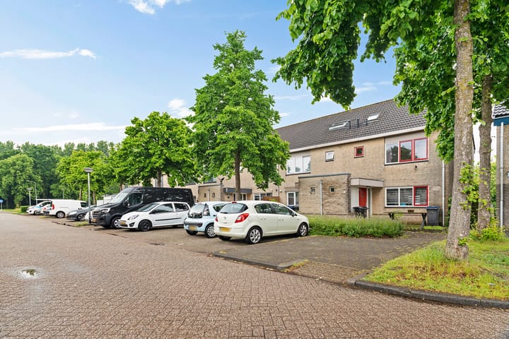 Harpstraat 13