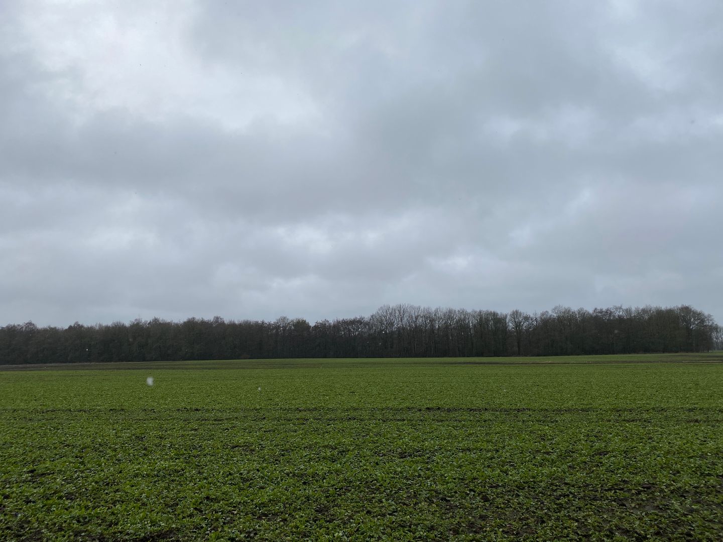 Bekijk foto 3 van Taarloseweg