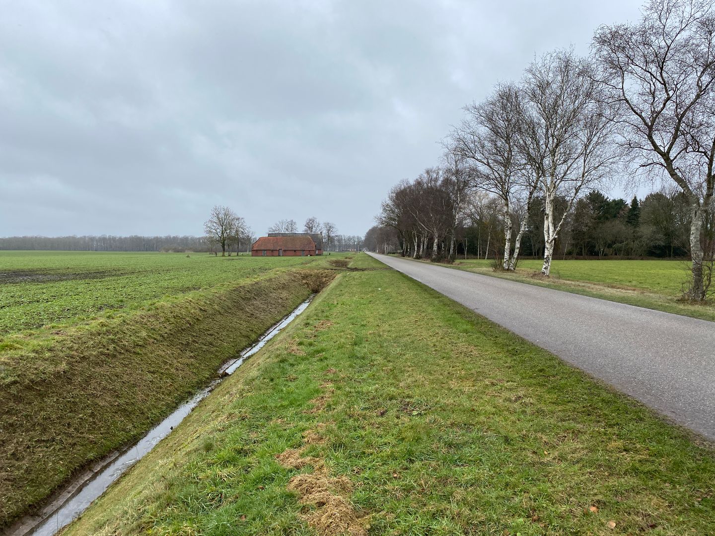 Taarloseweg - Ubbena - Afbeelding 7