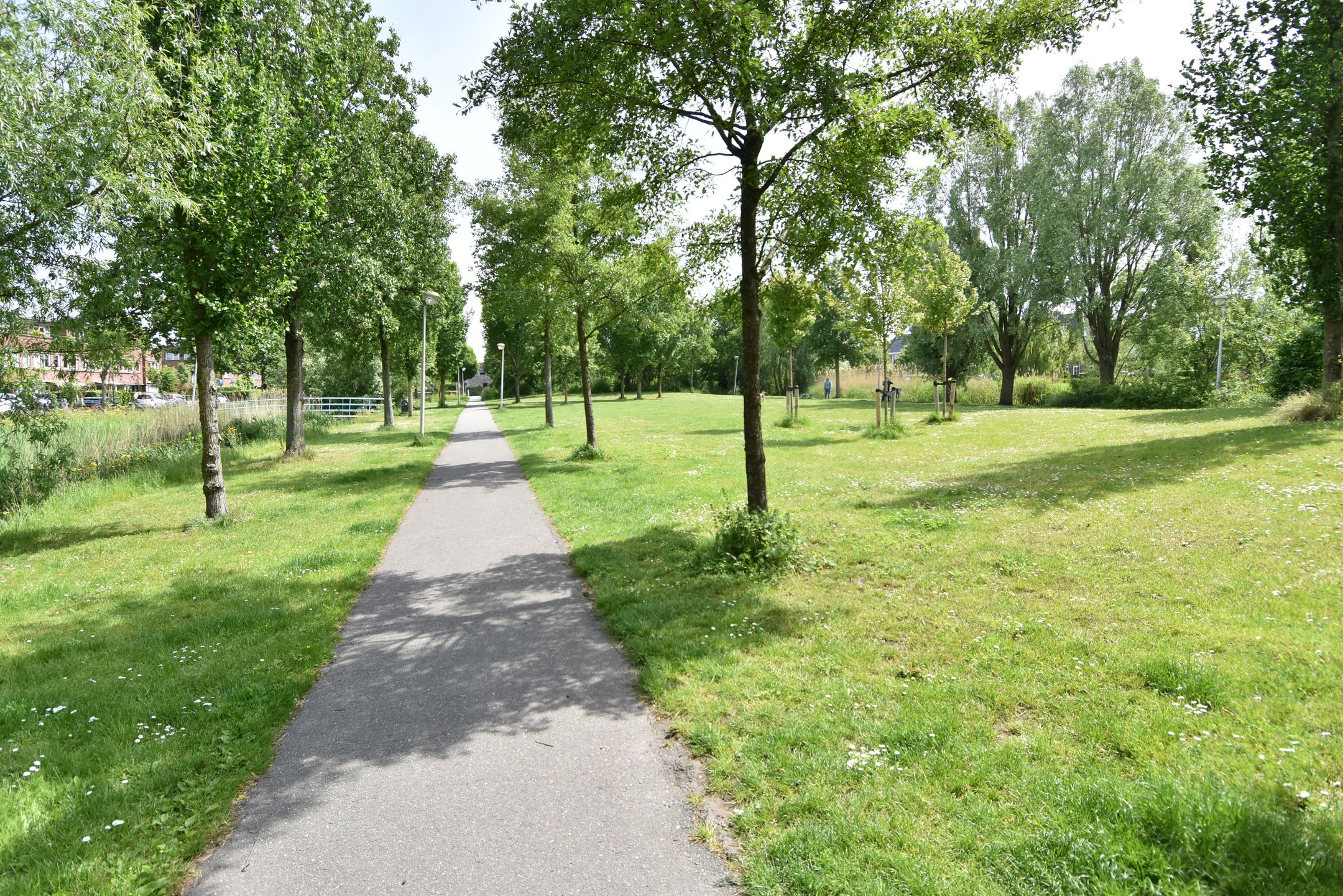 Photo 54 of Azaleapark 21