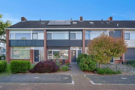 Amstelstraat thumbnail