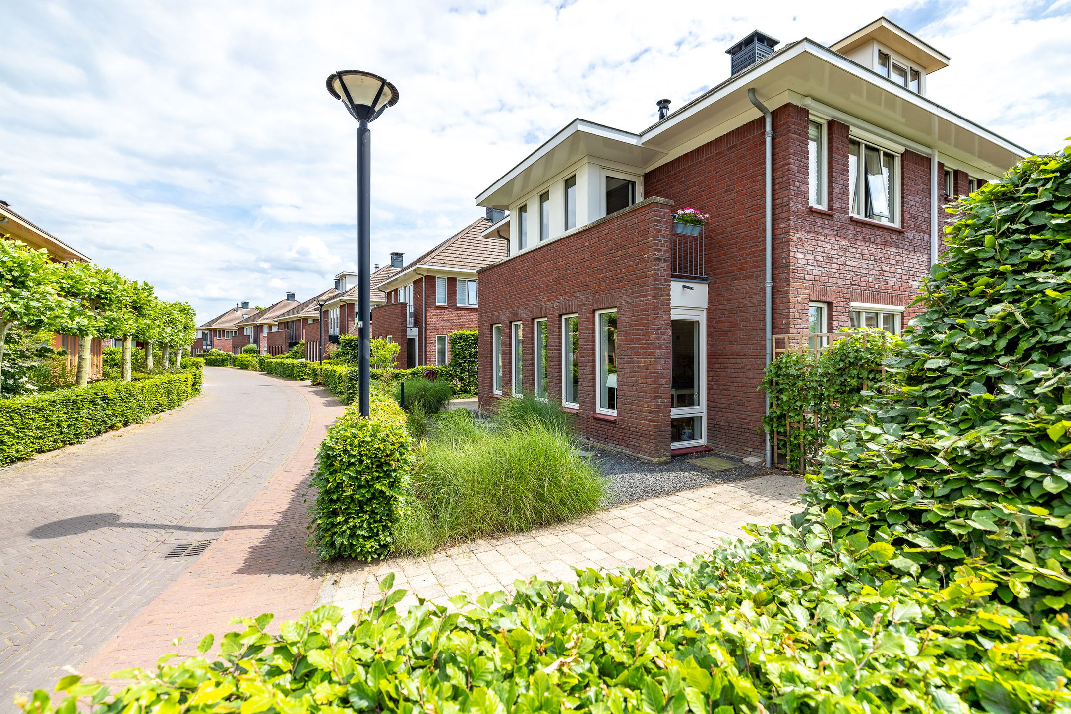 Photo 42 of de Biezenbusse 12
