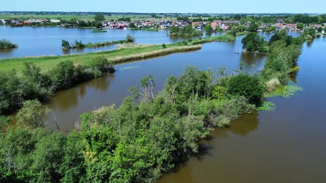 Eiland Nieuwkoopse Plassen 2287 thumbnail