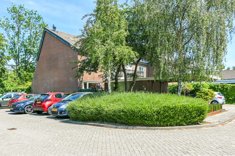 Zaanden thumbnail