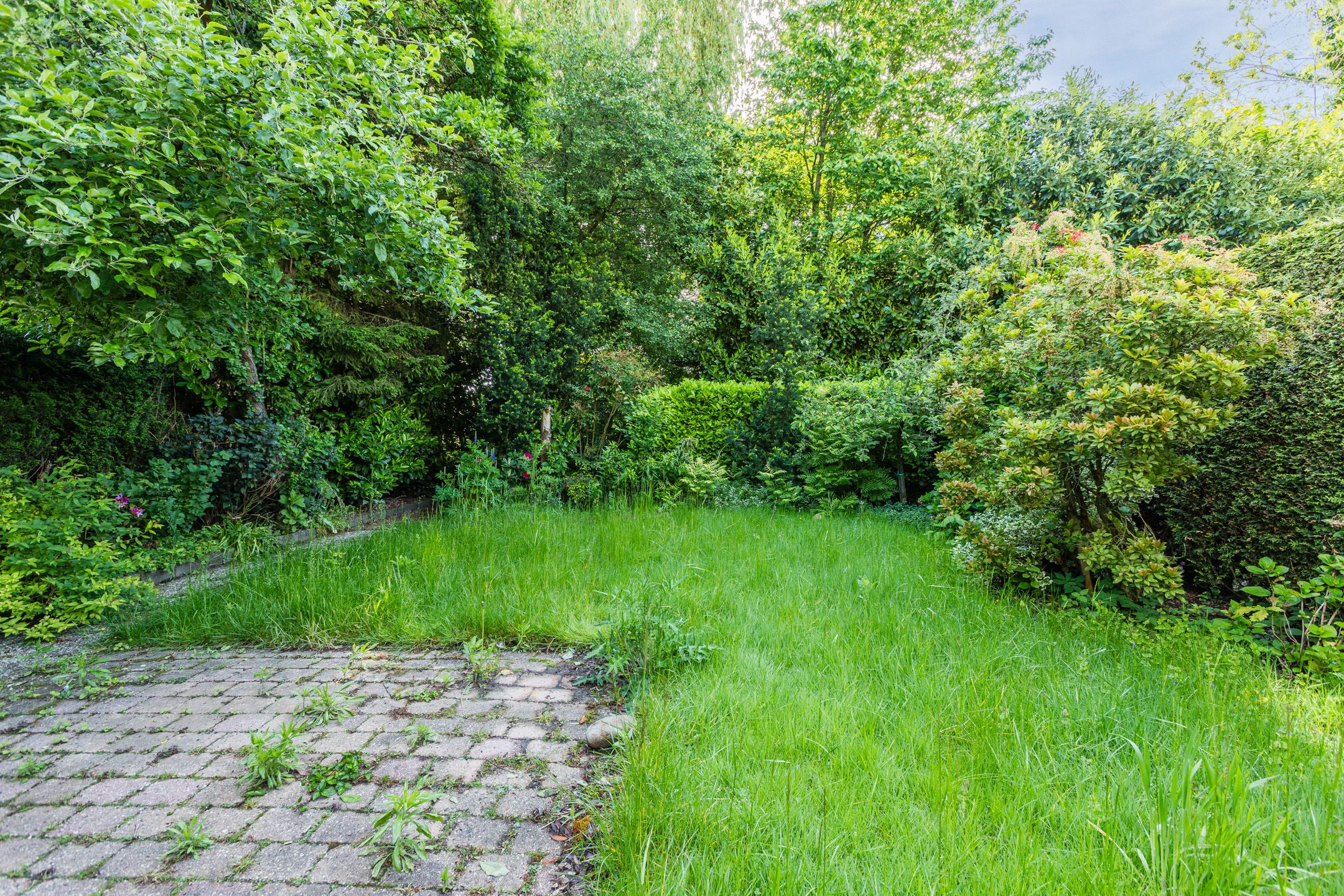 Photo 36 of Erve Oldenhof 63