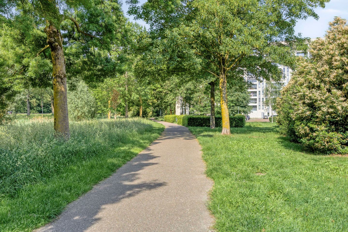 Foto 50 van Admiraliteitslaan 16