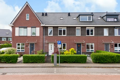Berenklauw thumbnail