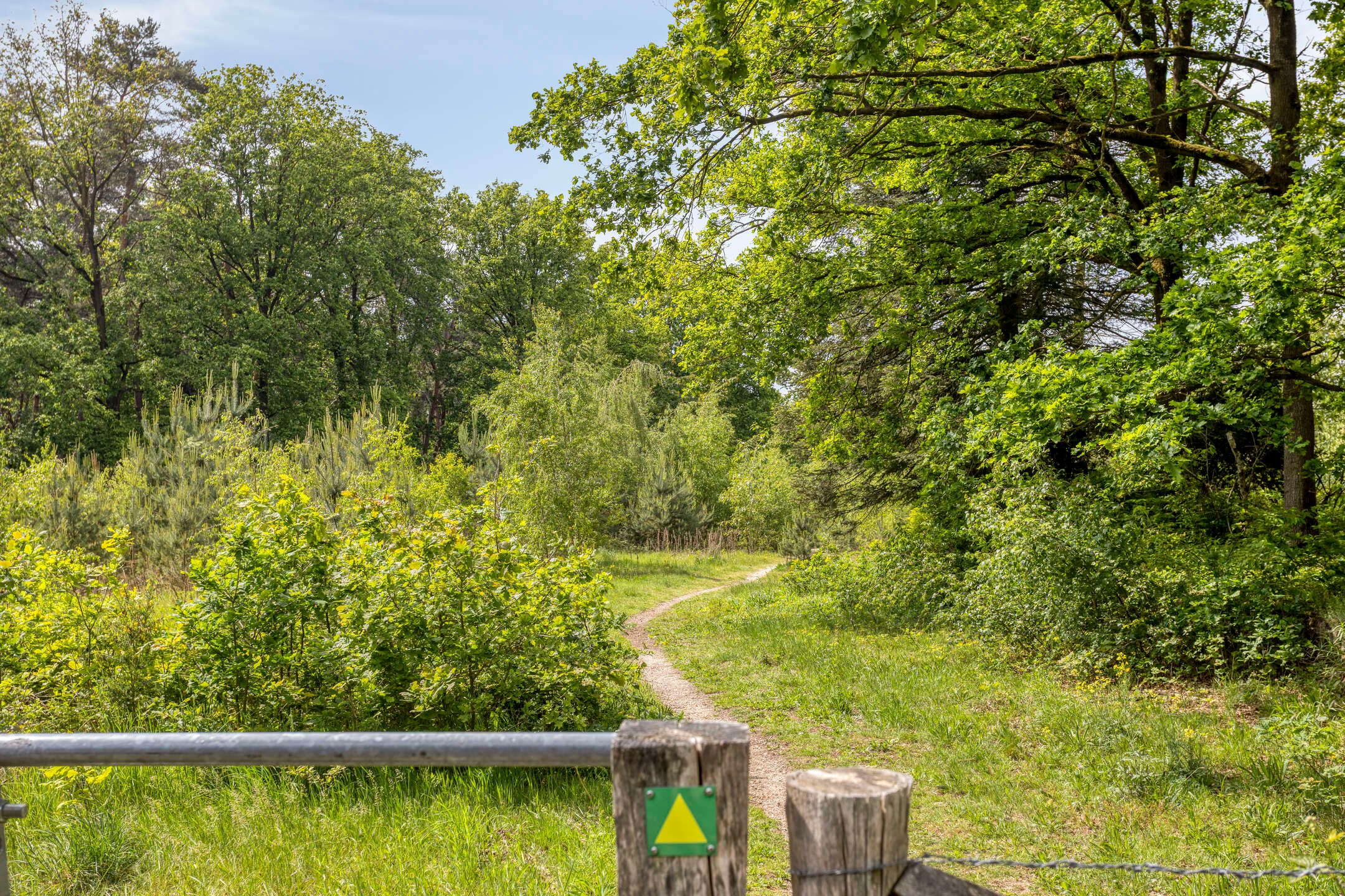 Foto 42 van Rustvenseweg 5