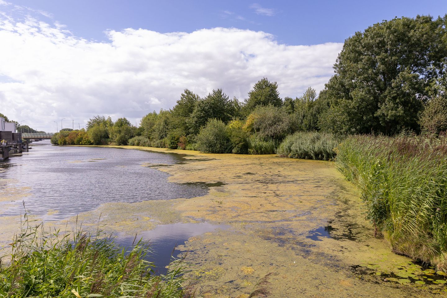 Foto 40 van Waterland 25
