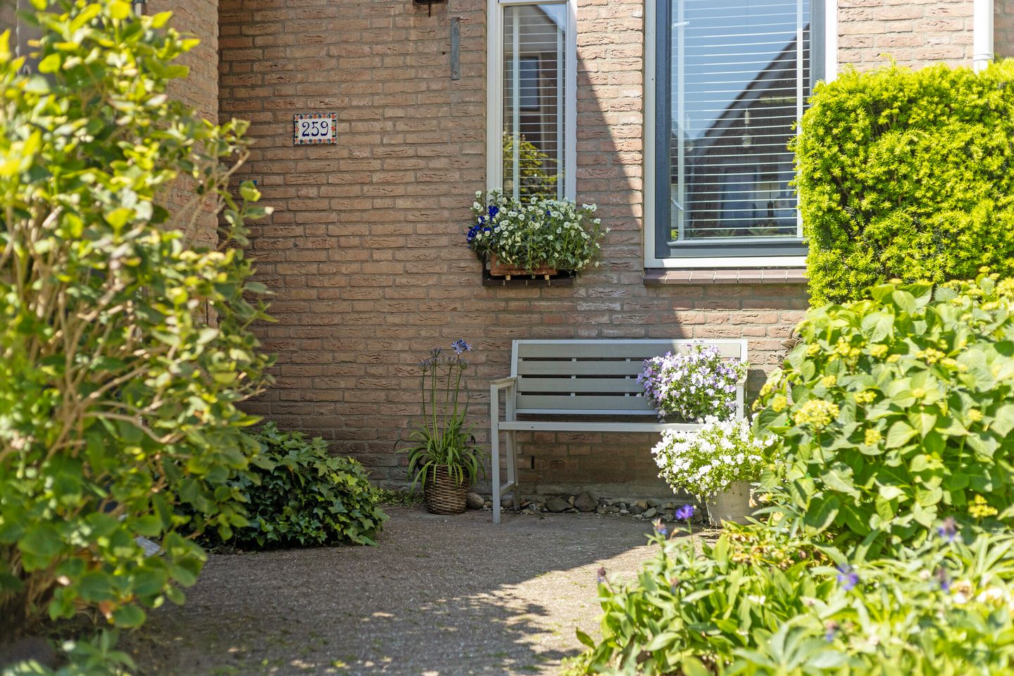 Foto 4 van Zwanenkamp 259