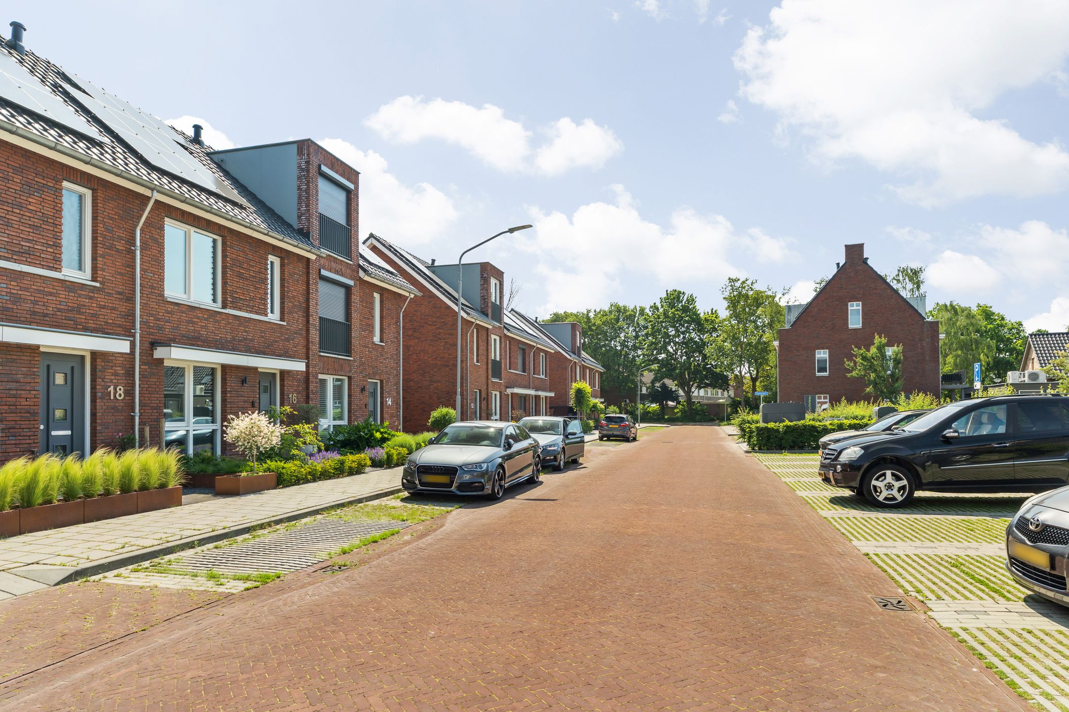 Foto 6 van Blauwborst 18