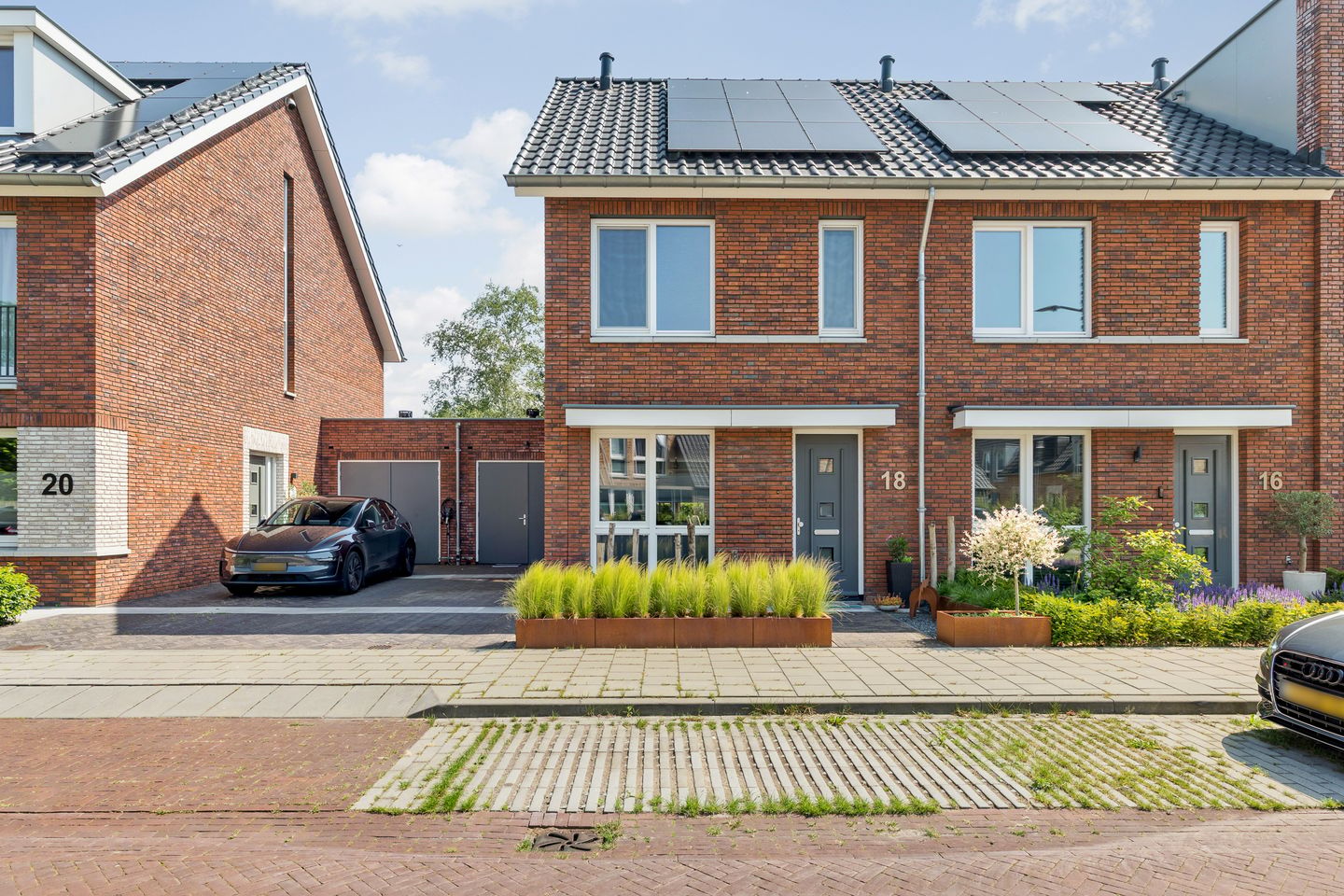 Foto 5 van Blauwborst 18