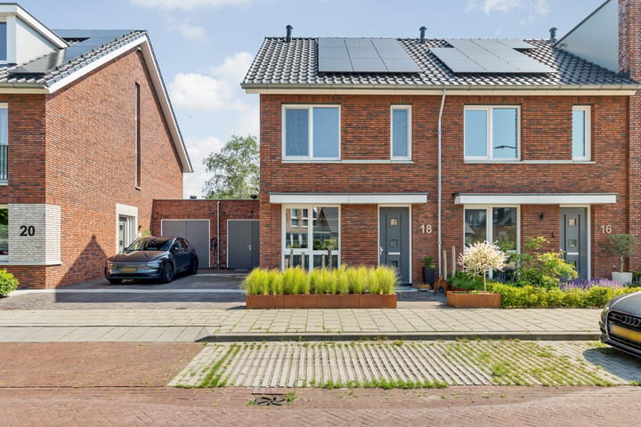 Foto 5 van Blauwborst 18