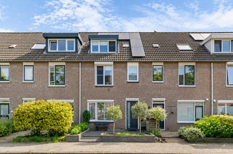 Boomrijk thumbnail
