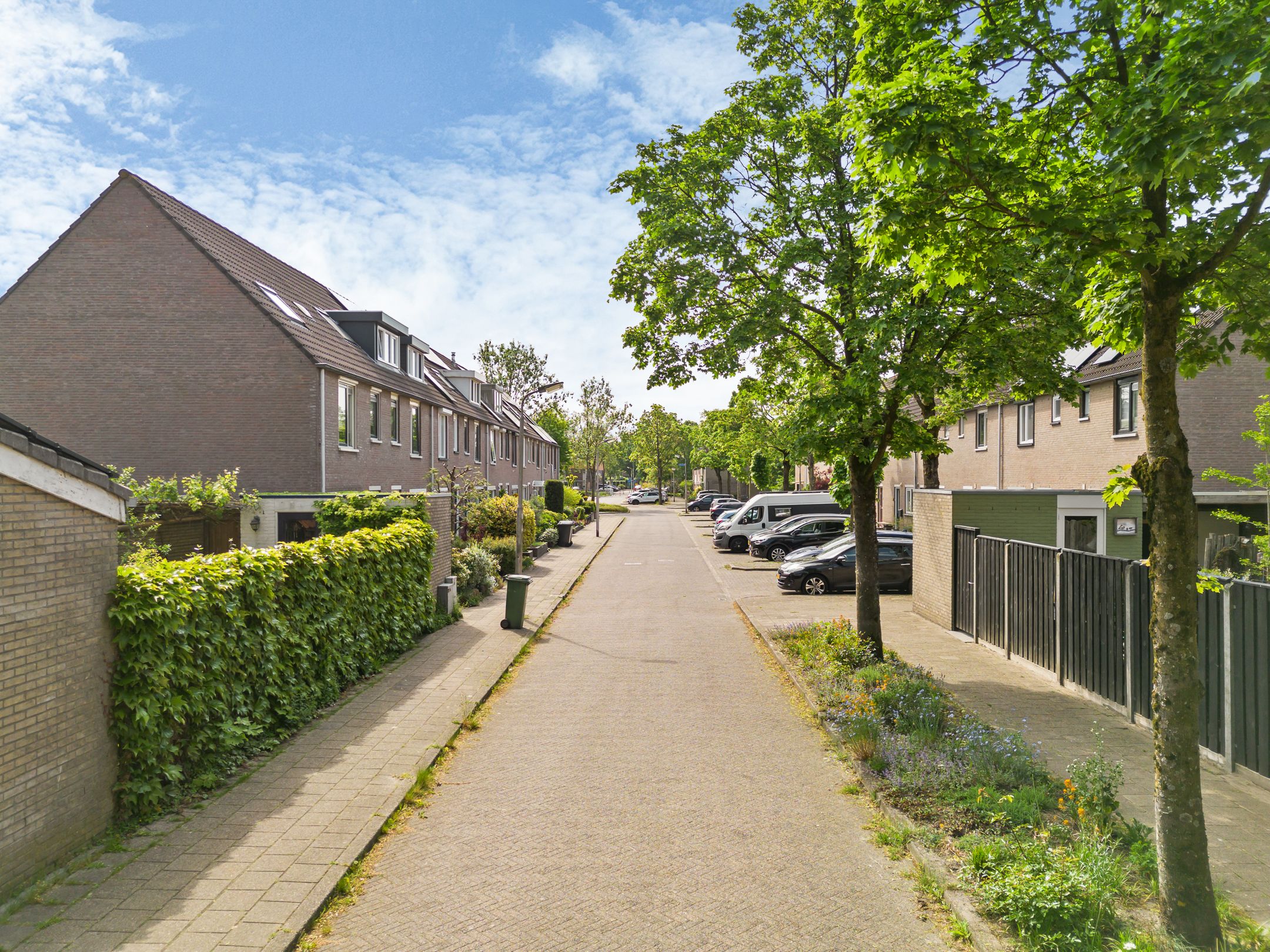 Foto 48 van Boomrijk 39