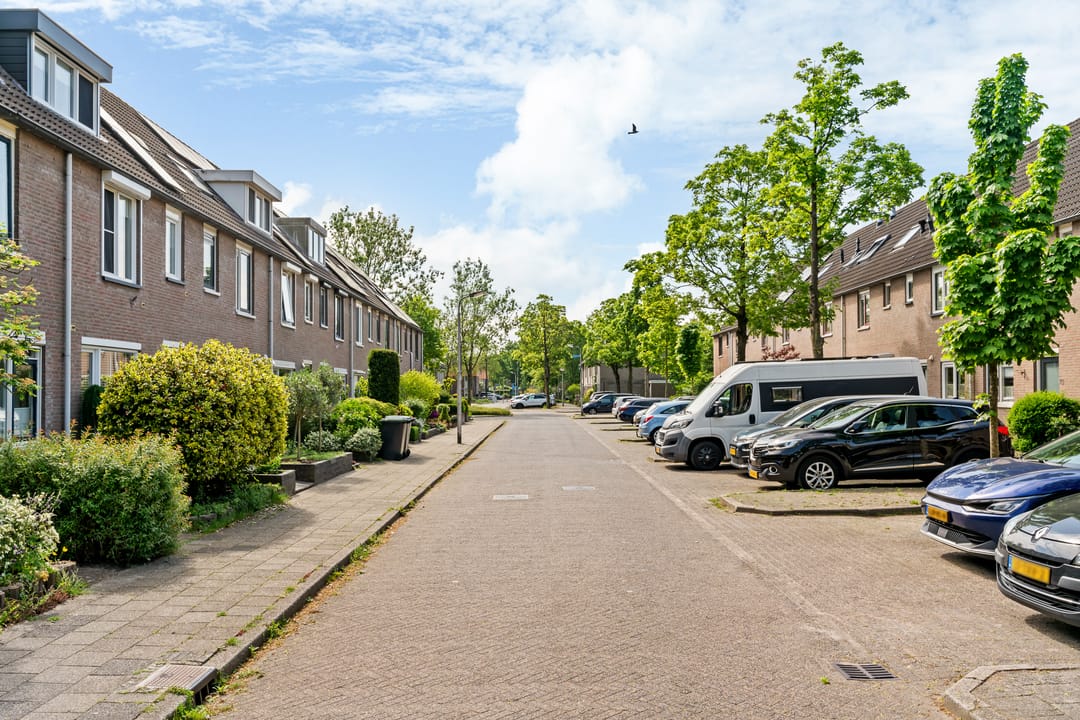 Foto 46 van Boomrijk 39