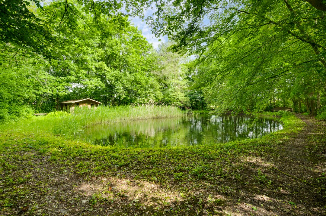 Foto 43 van de Kuilen 6