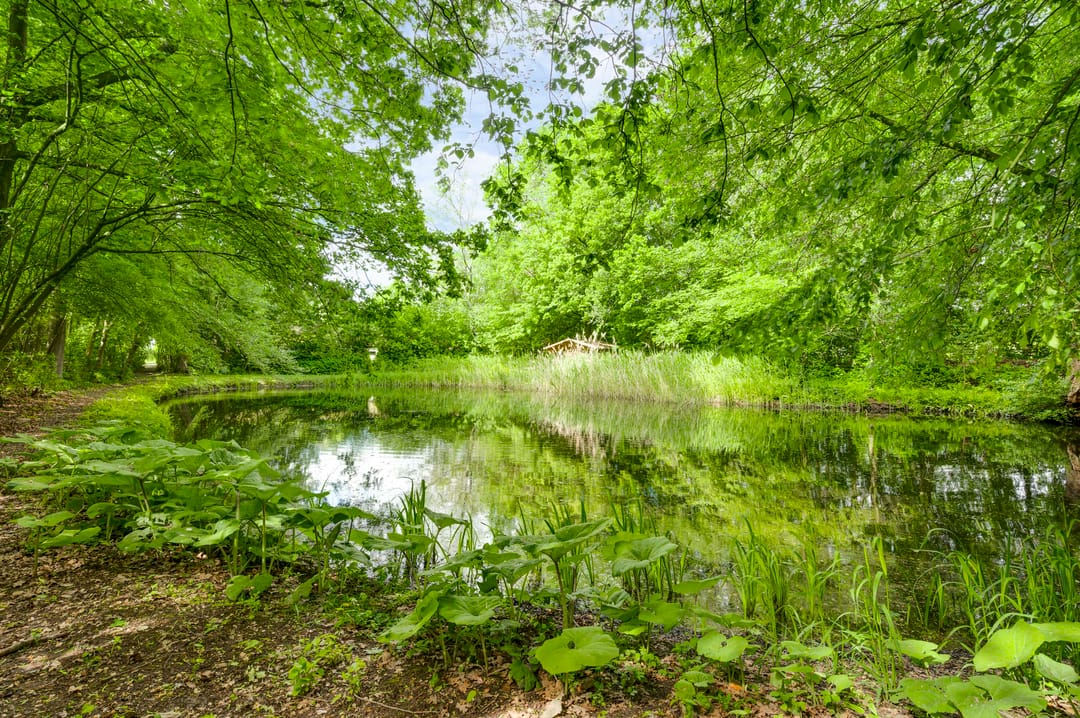 Foto 2 van de Kuilen 6