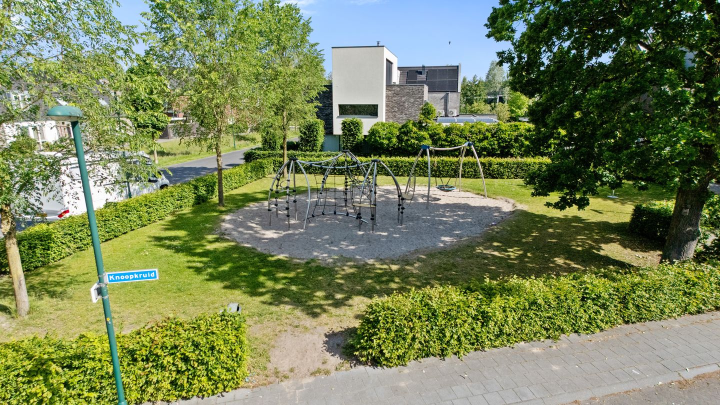 Foto 4 van Knoopkruid 18