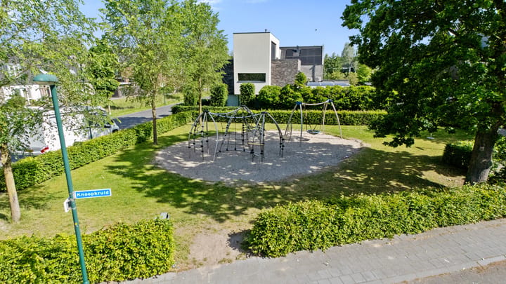 Foto 4 van Knoopkruid 18