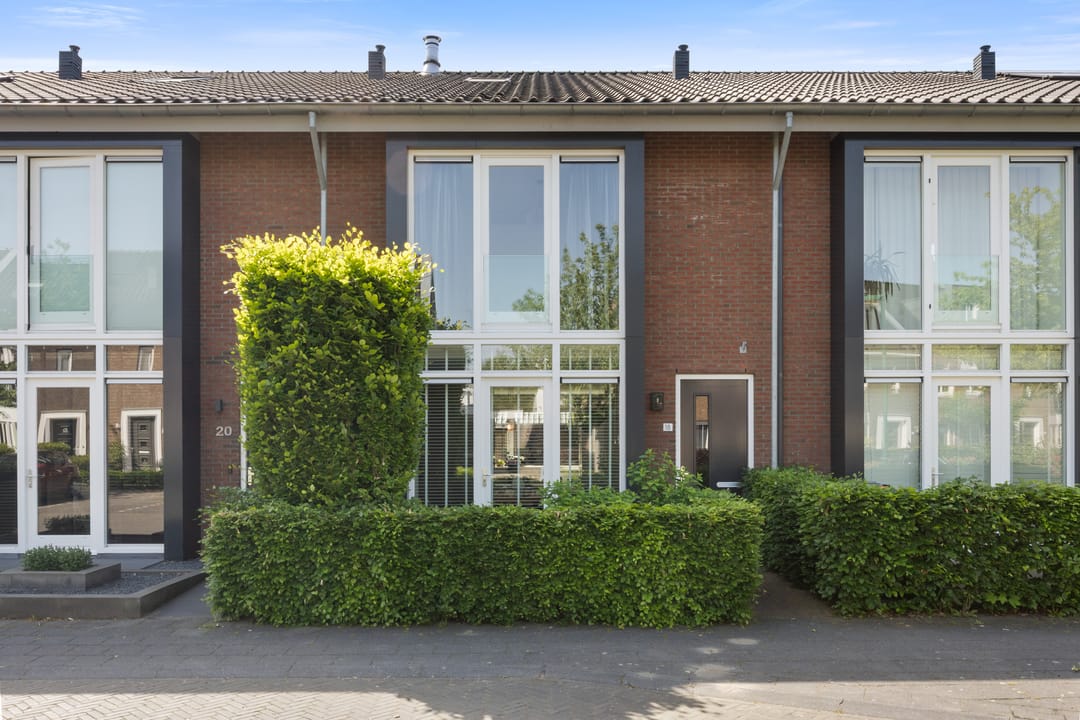 Foto 1 van Knoopkruid 18
