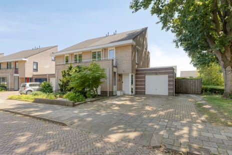 Reigerstraat thumbnail