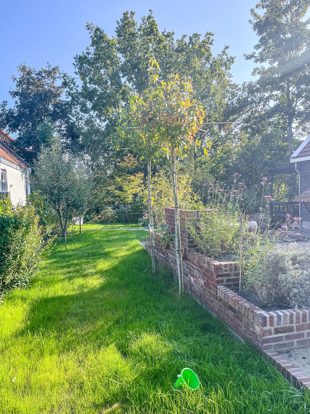 Foto 43 van Haaldersbroekerdwarsstraat 9-B
