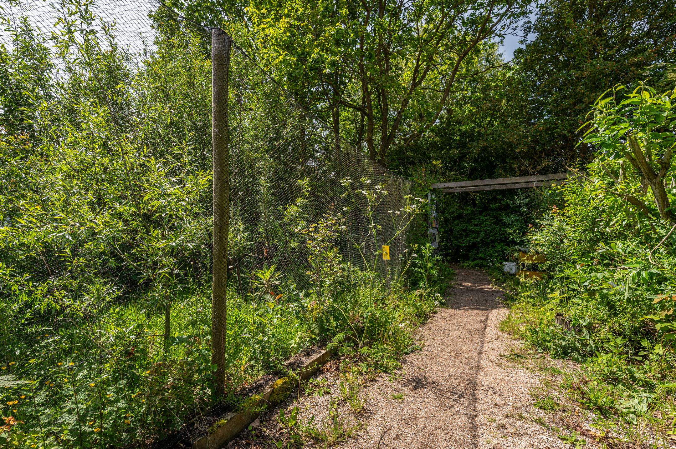 Photo 81 of Zwagermanweg 2