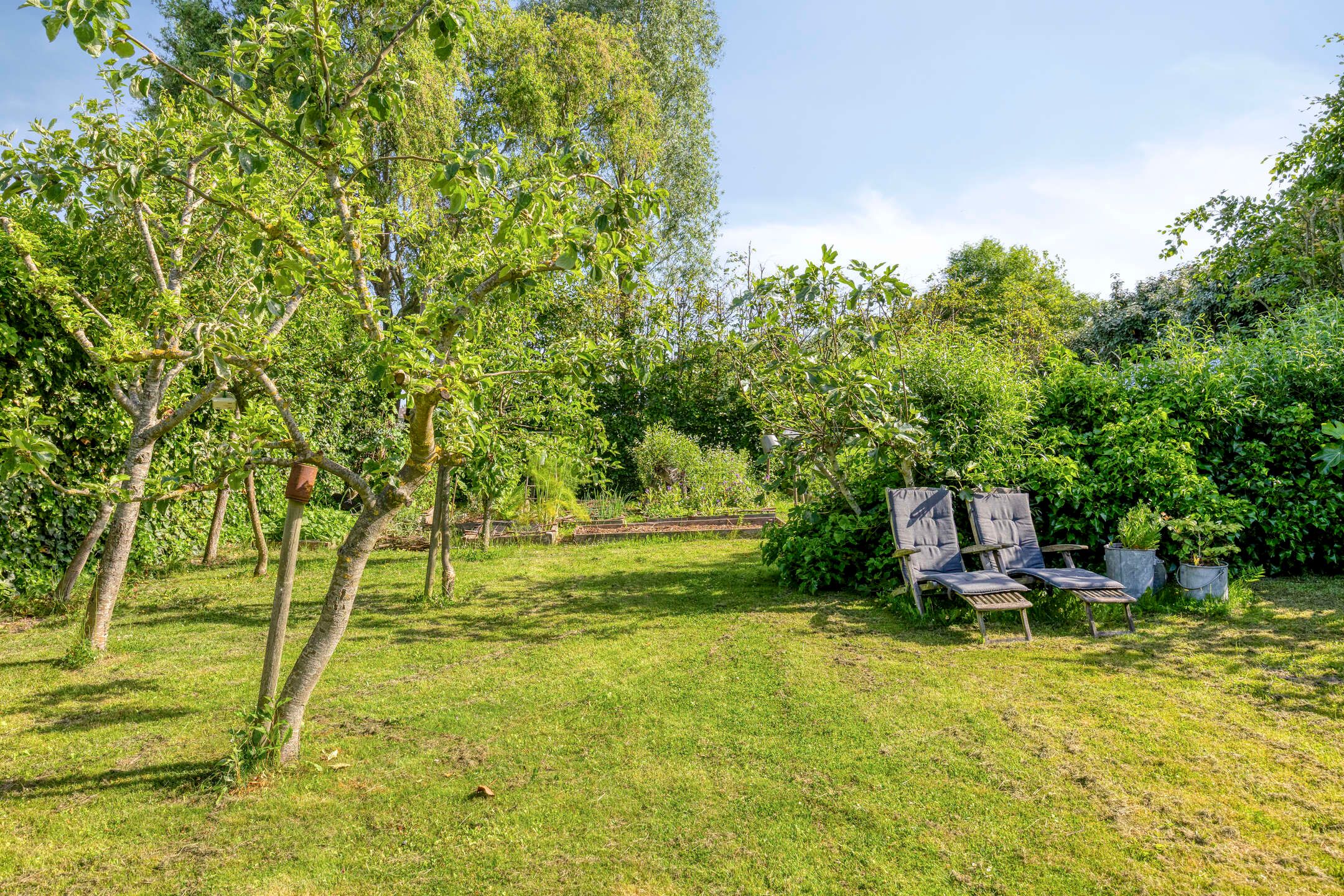 Photo 81 of Zinkweg 306