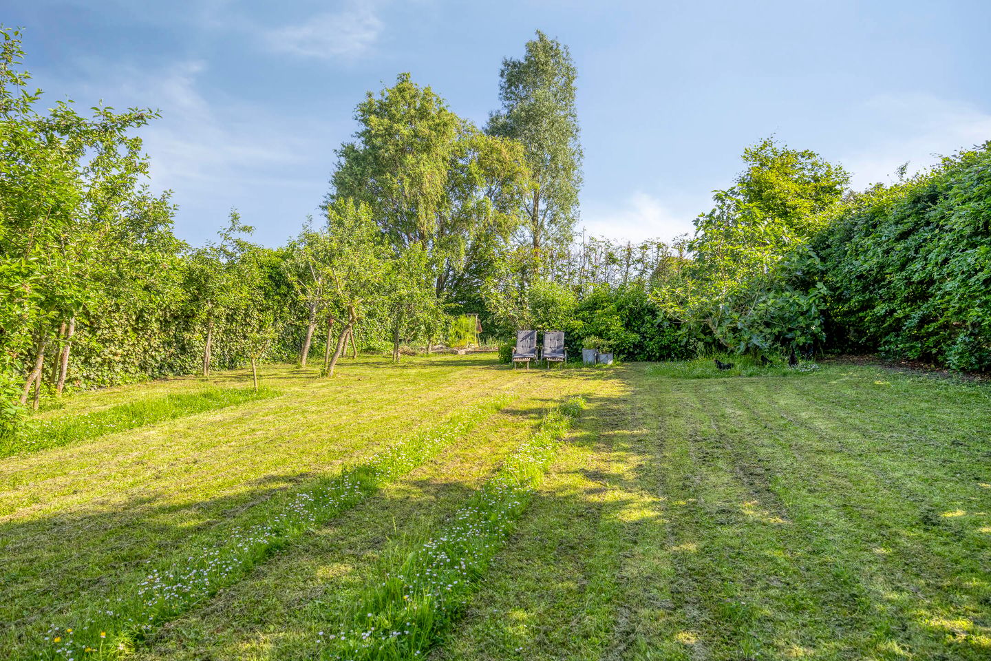 Photo 79 of Zinkweg 306