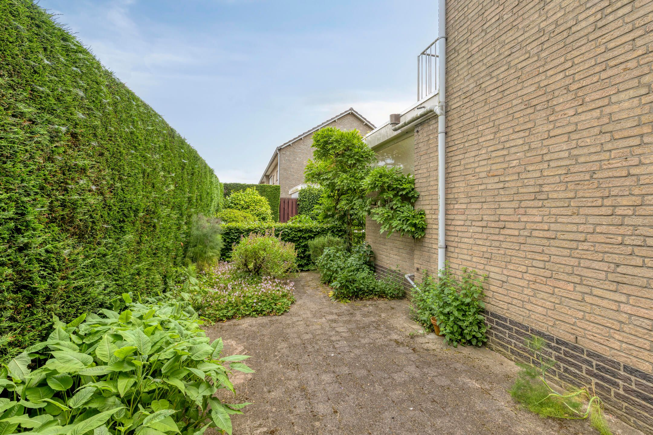Foto 42 van Schoolstraat 8