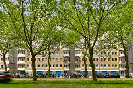 Van Nijenrodeweg thumbnail