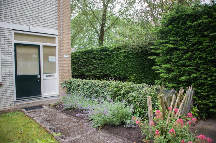 Photo 3 of Van Polanenpark 171