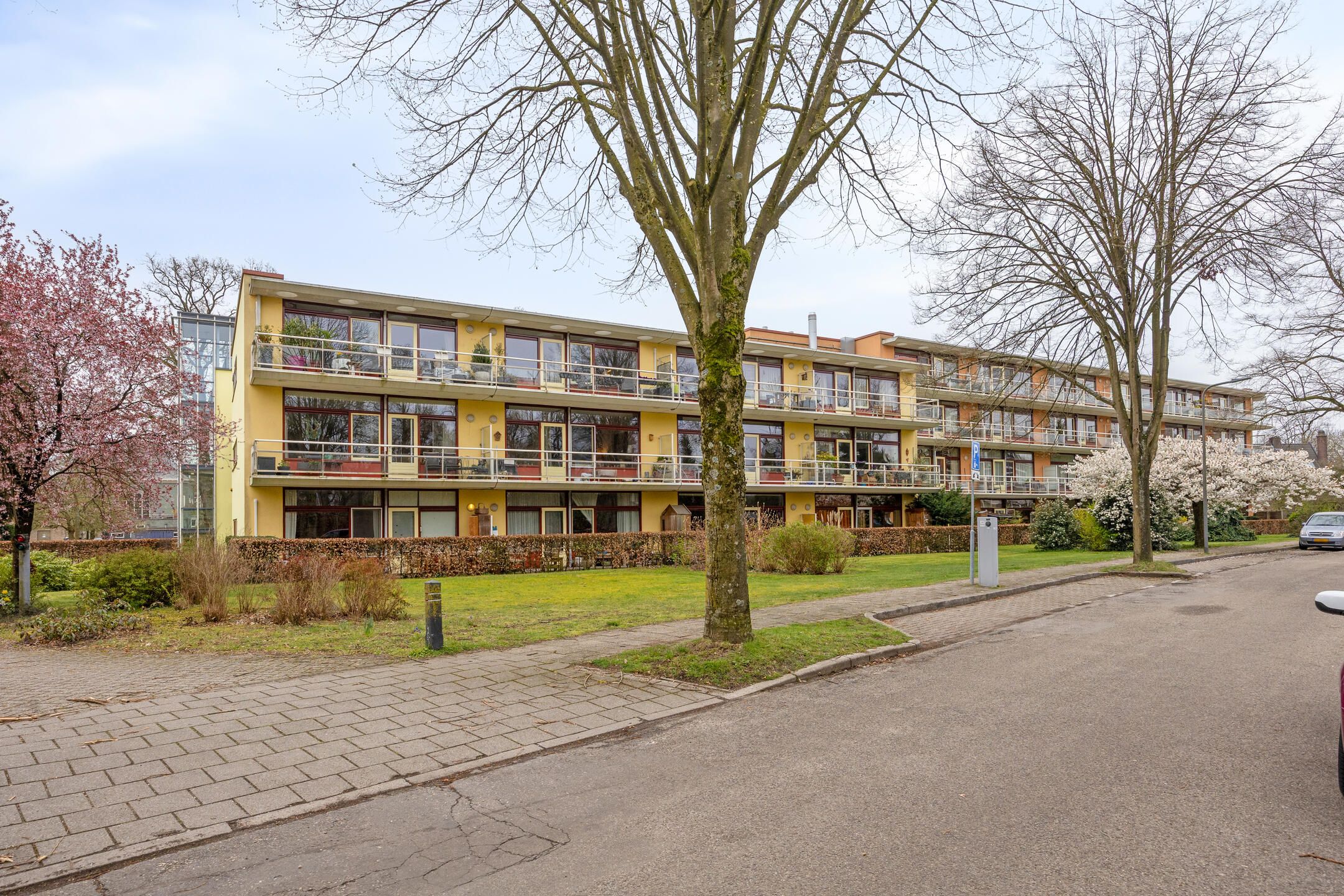 Photo 6 of Nieuw-Schoonoord 263