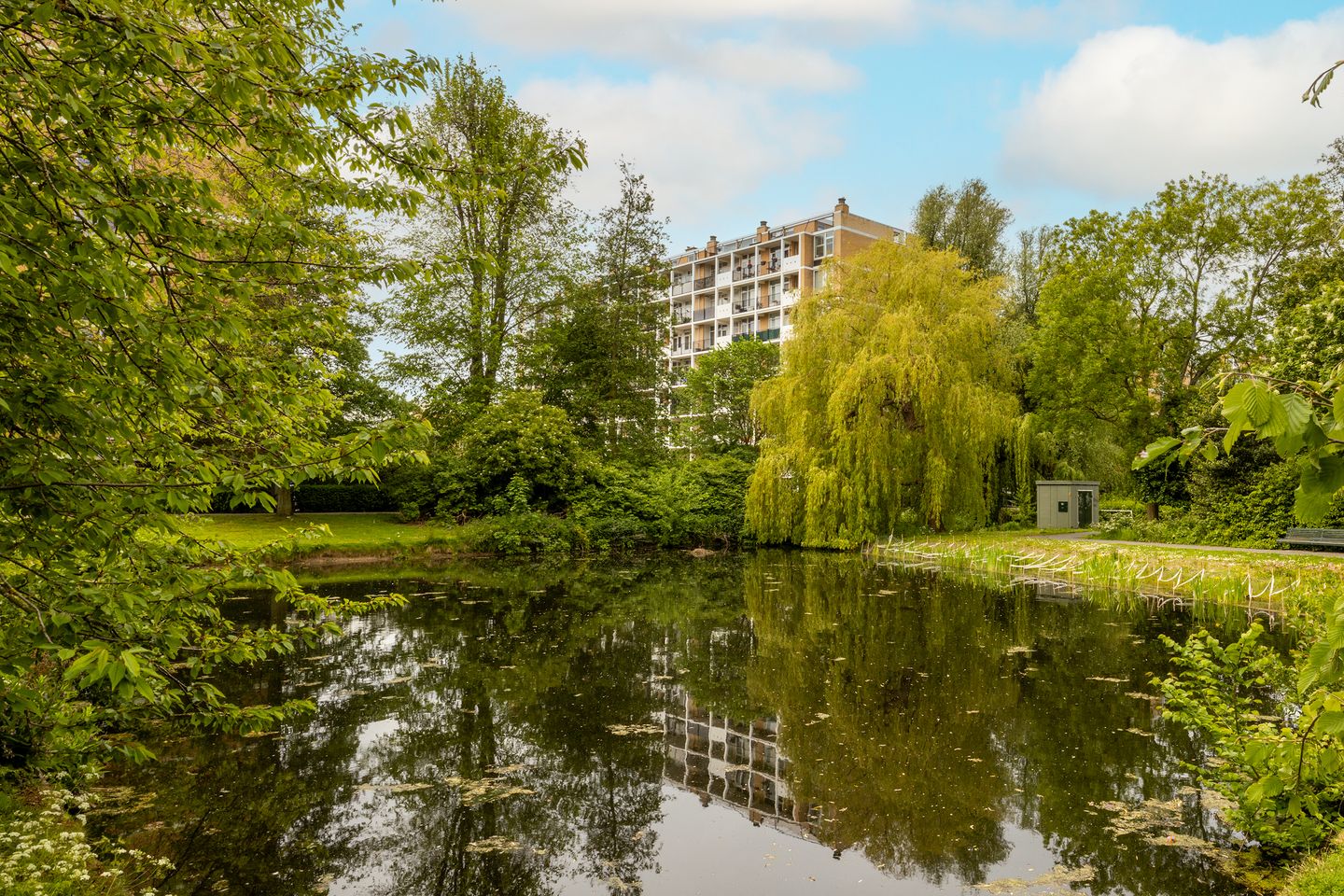 Photo 4 of Louis Davidsstraat 143