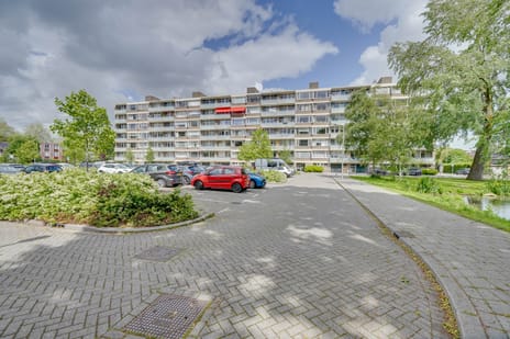 Van der Helmstraat thumbnail