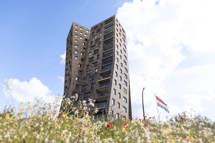 Het Hoge Licht 77
