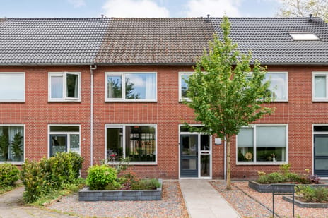 Herikstraat thumbnail