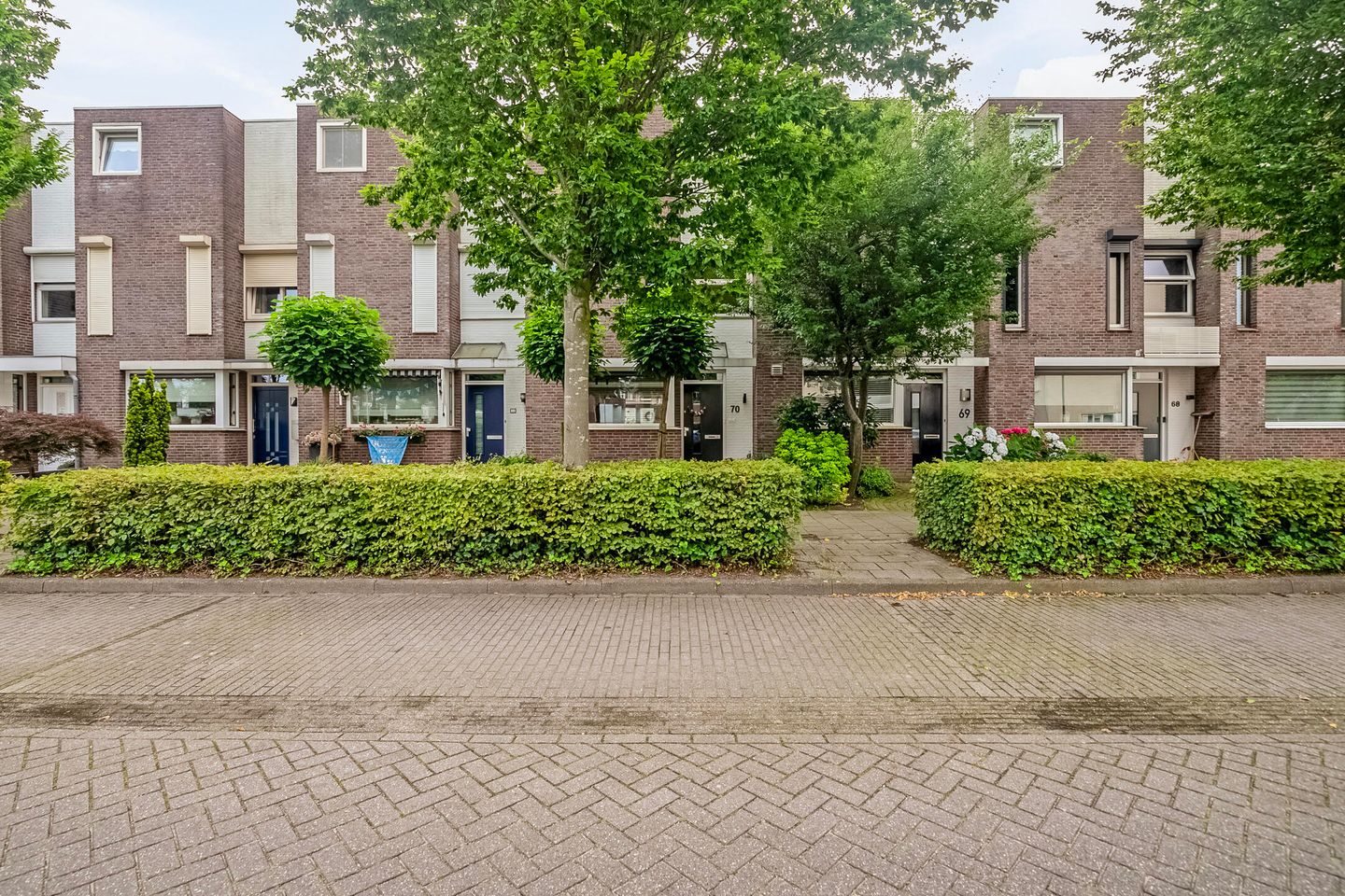 Foto 1 van Bloemenblauwtje 70