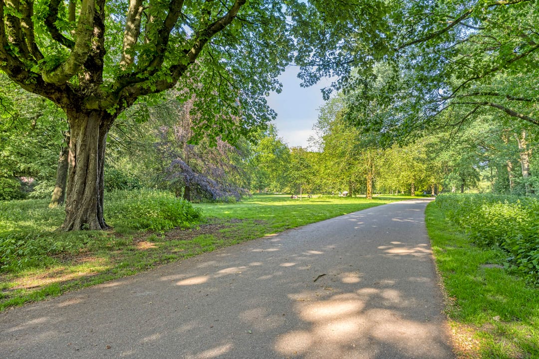 Foto 41 van Leijparkweg 15