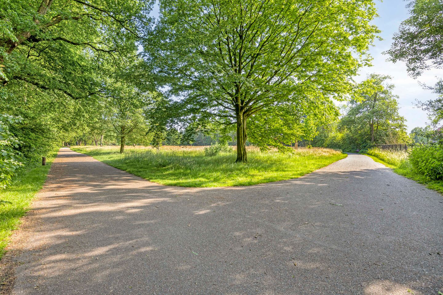 Foto 40 van Leijparkweg 15