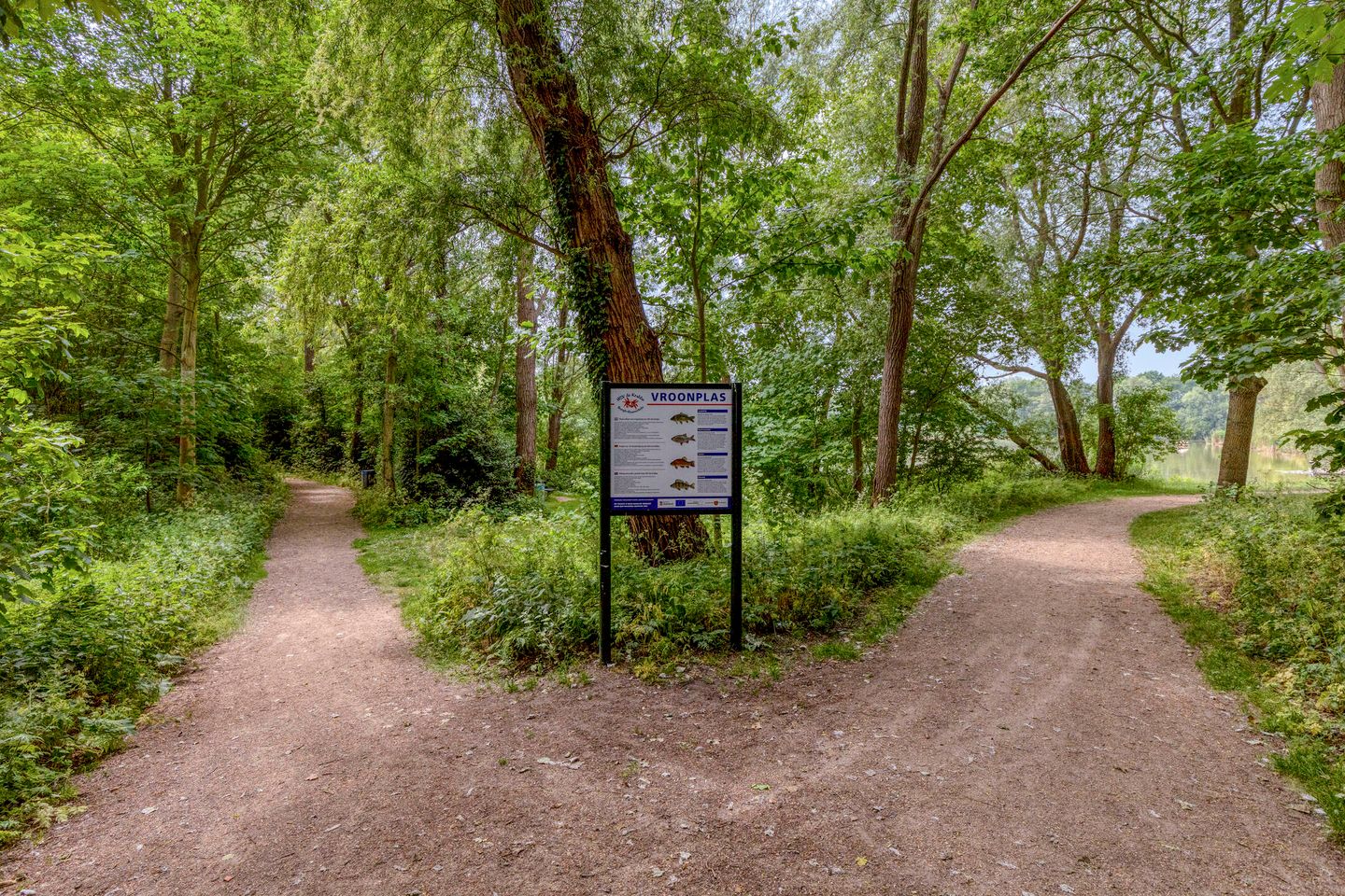 Foto 40 van Zeeanemoonweg 72