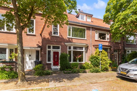 Zonnebloemstraat thumbnail