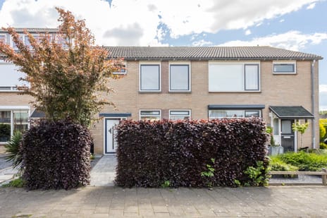 Irisstraat thumbnail