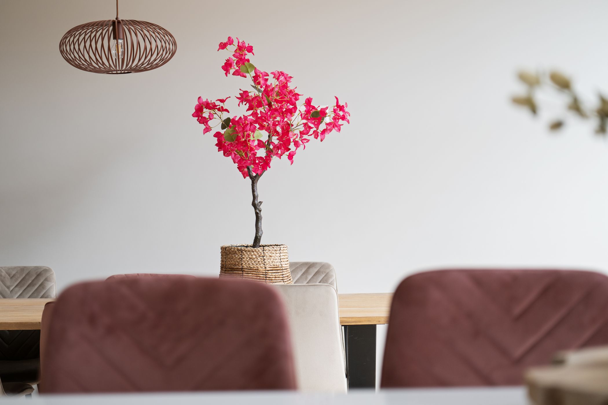 Luxury 5-Room Apartment on Mathenesserlaan with New Foundation and Terrace — 24