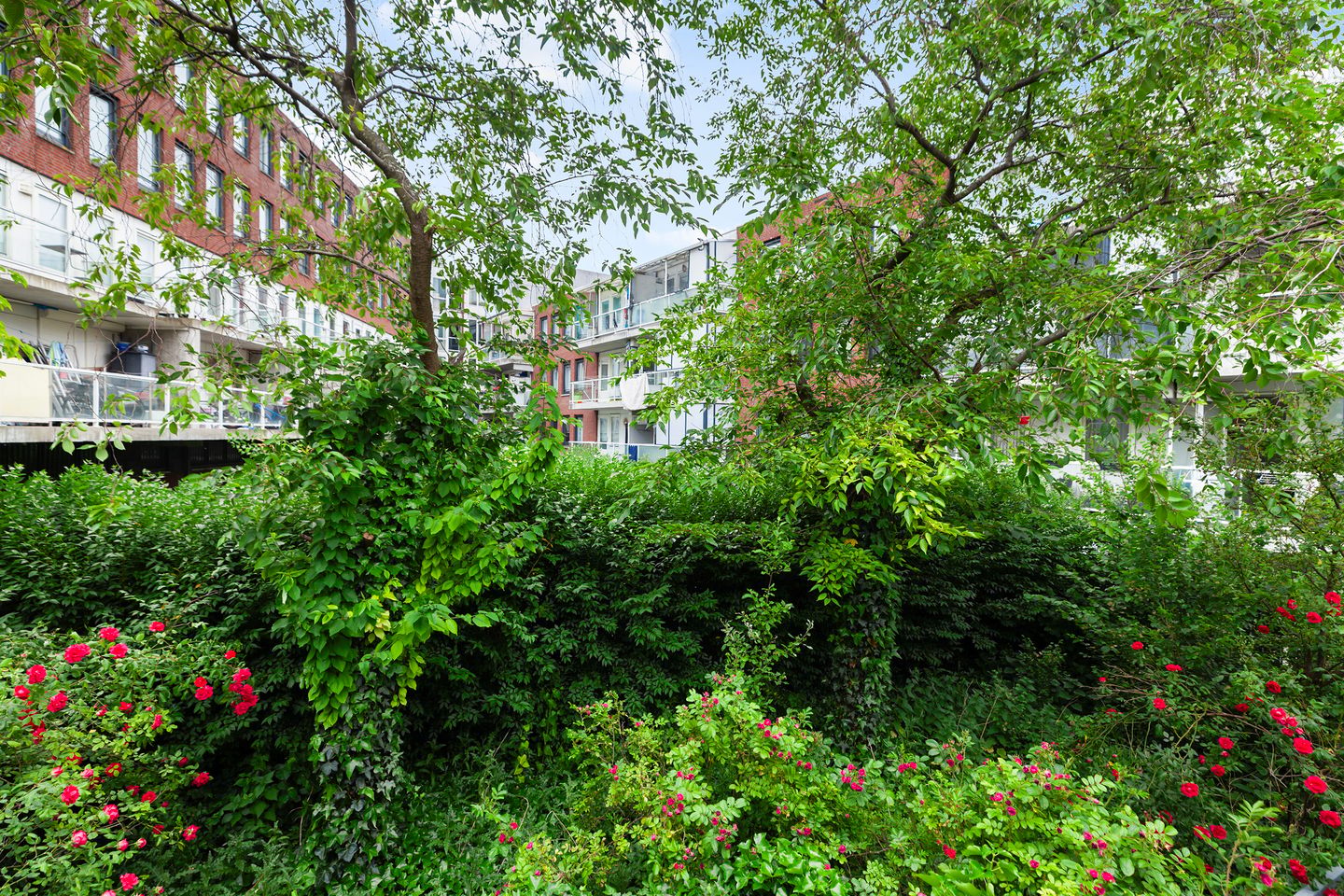 Photo 19 of Van de Veldestraat 55