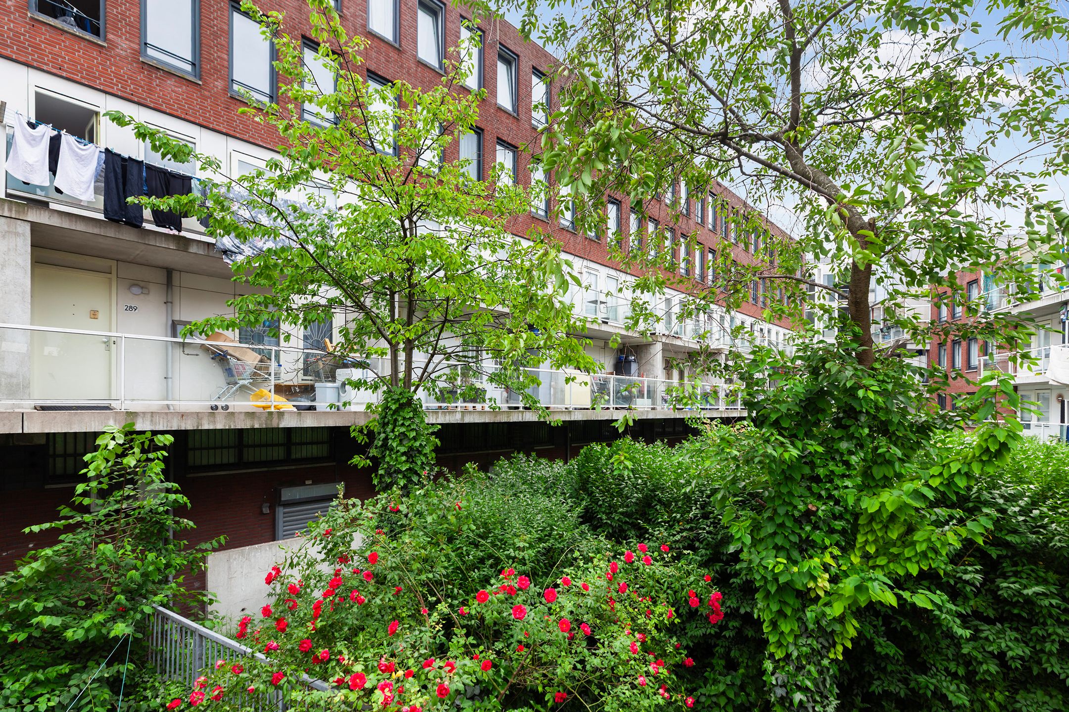 Photo 18 of Van de Veldestraat 55