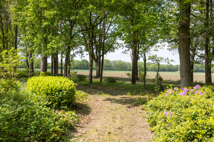 Foto 4 van Vinklaan
